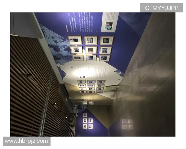 西安飞盘队的成功运营模式与发展策略全解析